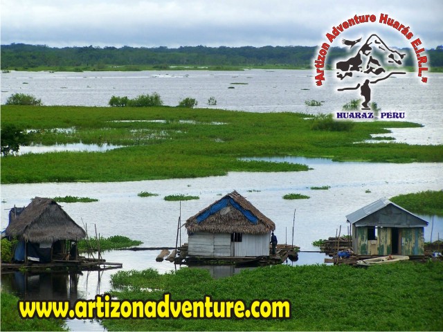 Amazonas Selva Iquitos - Loreto